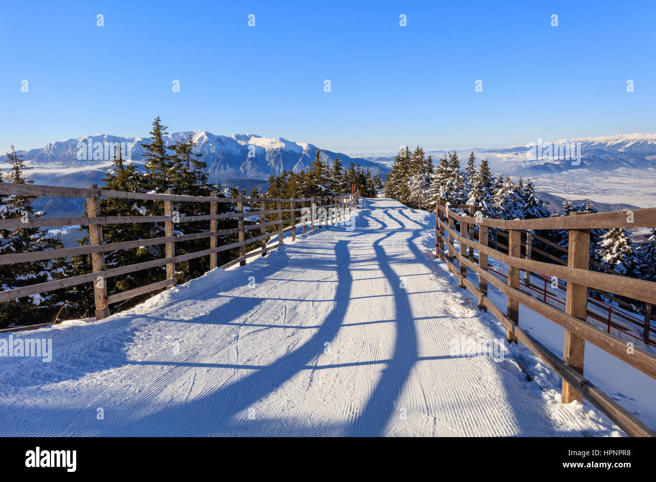 Paesaggio invernale in montagna Postavaru. Poiana Brasov ski resort Foto Stock