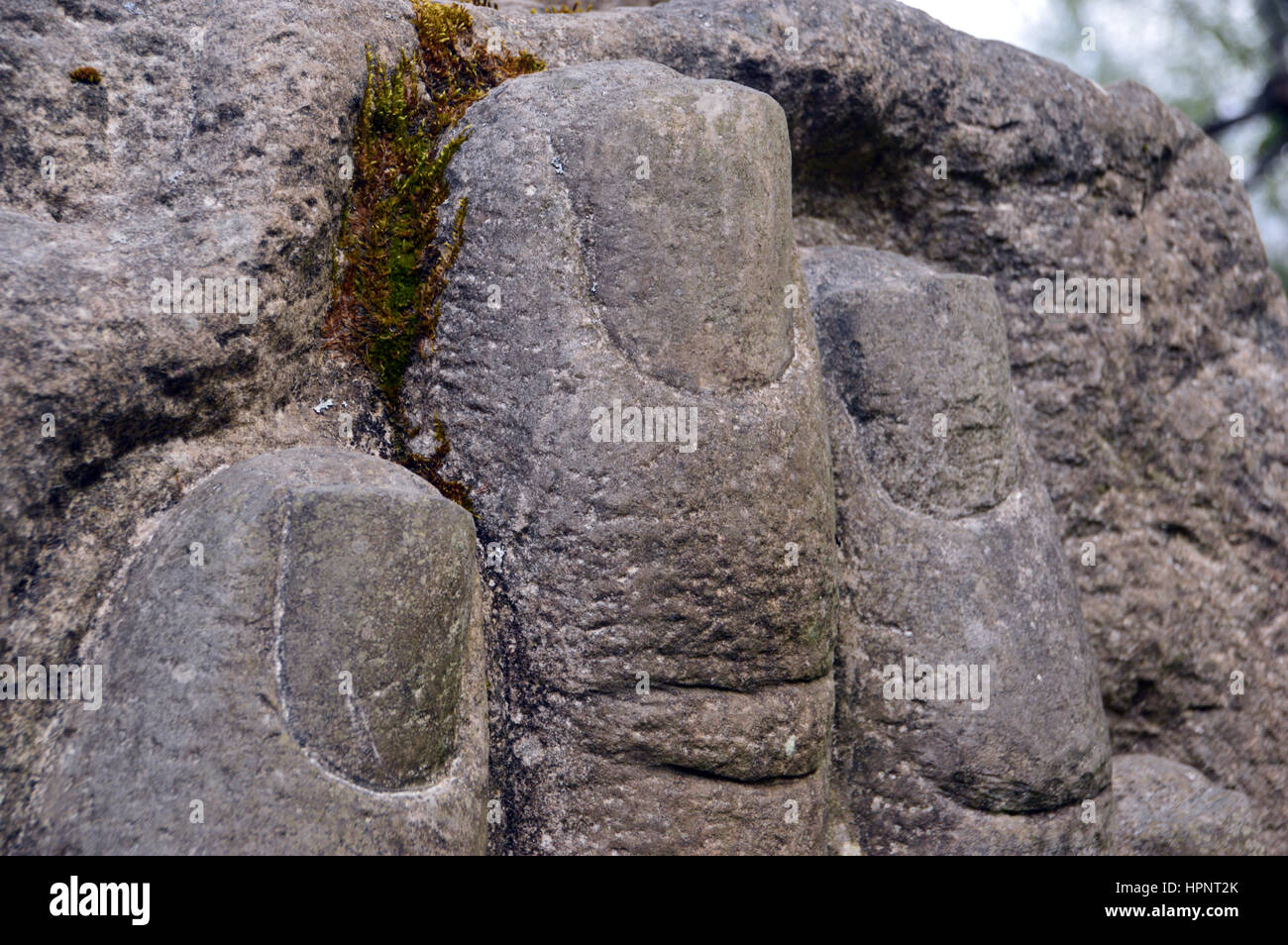 Close up di pietra le unghie su una scultura di una mano chiamato Millennium parte del Frank Bruce Sentiero delle sculture in Inshriach Forest, Feshiebridge, Foto Stock