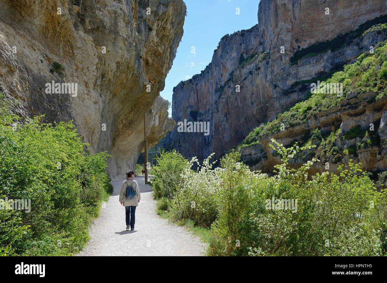 La gola di Lumbier è una breve stretta gola con pareti verticali nelle colline della Sierra de Leire. Esso può essere facilmente visitata a piedi lungo due Foto Stock