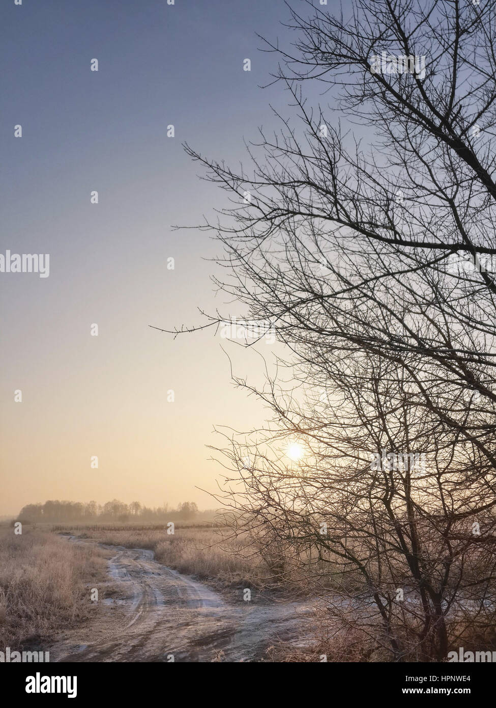 Mattina Magnifical alba, nudo alberi e inverno paesaggio congelato Foto Stock