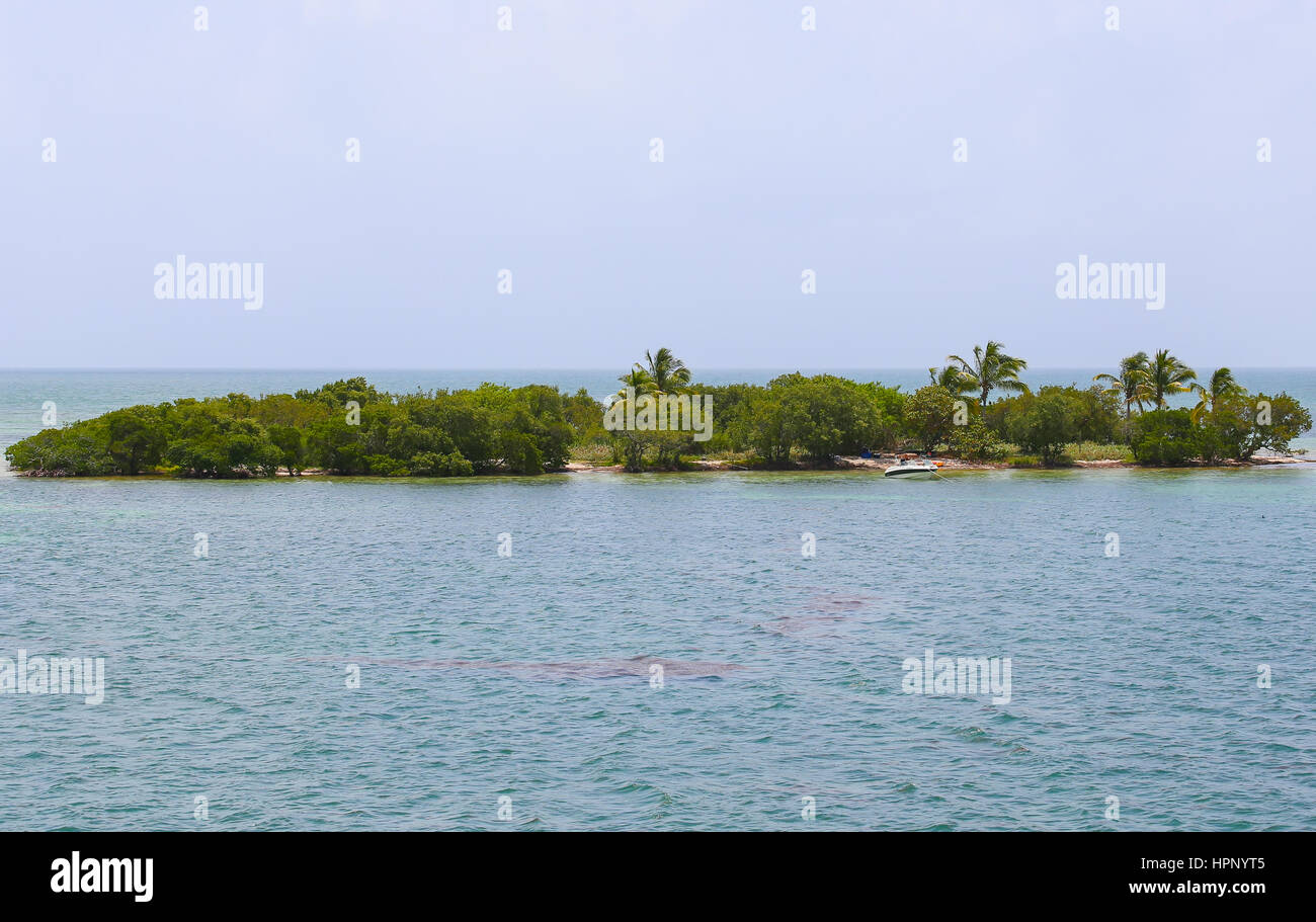 Big Pine Key, Stati Uniti d'America - 10 Maggio 2015: La piccola isola di denaro chiave in Florida Keys visto da Seven Mile Bridge. Foto Stock