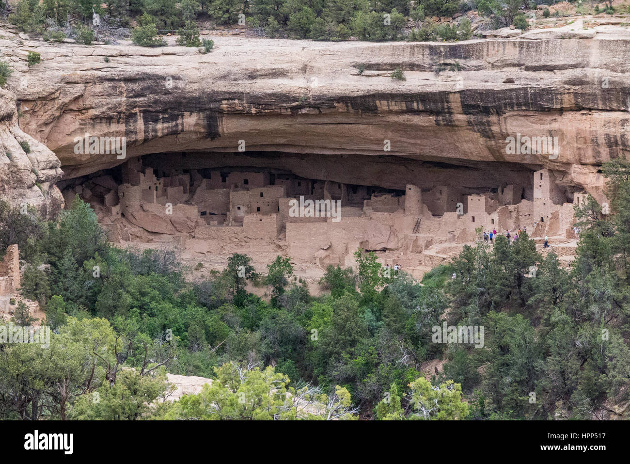 Antica cliff dwellings presso il Parco Nazionale di Mesa Verde in Colorado Foto Stock