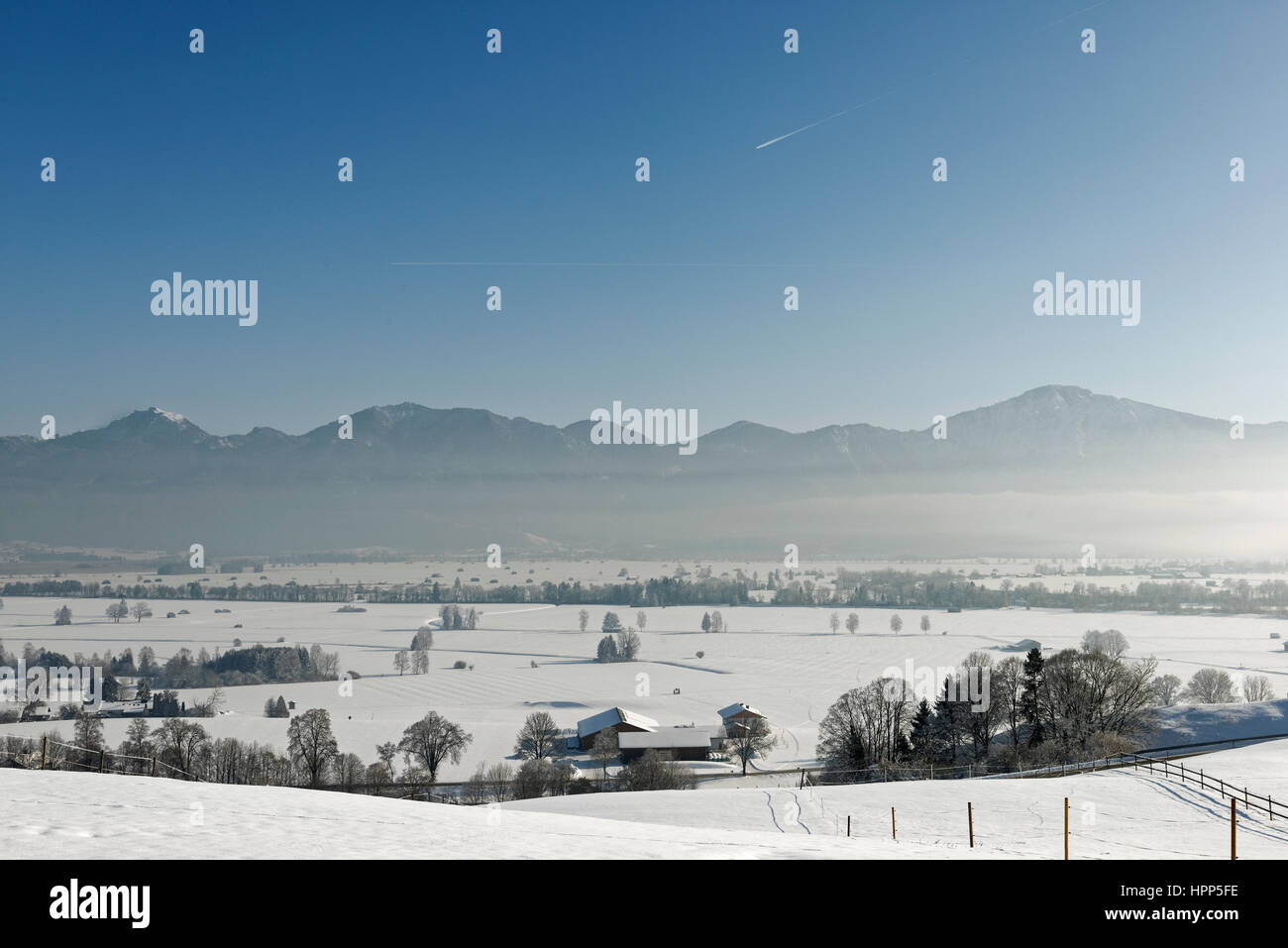Inverno a Loisach Moor vicino Gröben, Grossweil, Alpi Alta Baviera, Baviera, Germania Foto Stock