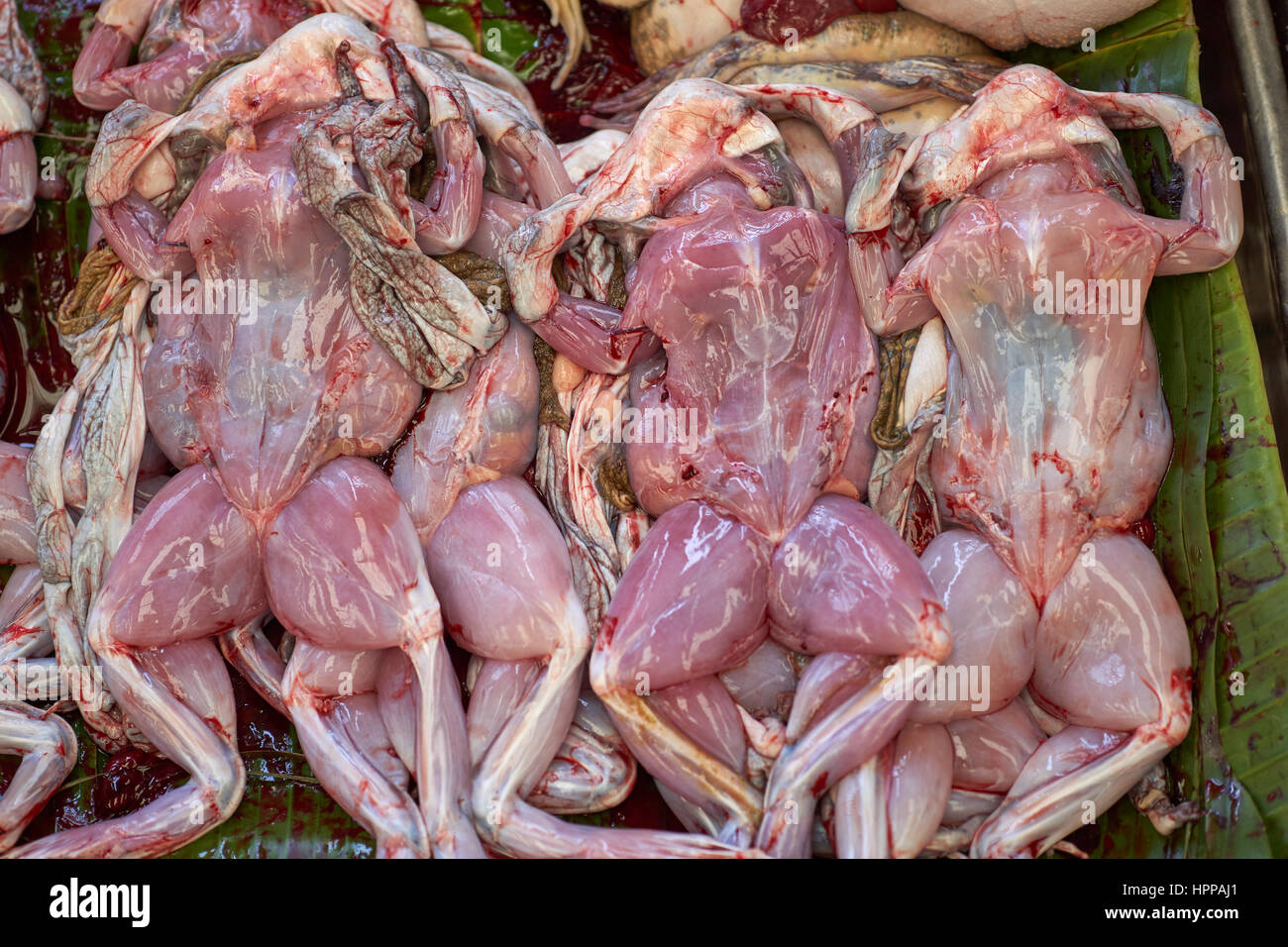 Disgustoso scuoiati rane in vendita in un mercato di Bangkok - cinese rane commestibili (Hoplobatrachus rugulosus) in Khlong Toei Pier, il mercato centrale di Bangkok Foto Stock