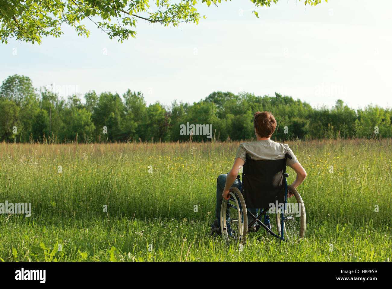 Giovane uomo in sedia a rotelle godendo di aria fresca in una giornata di sole Foto Stock
