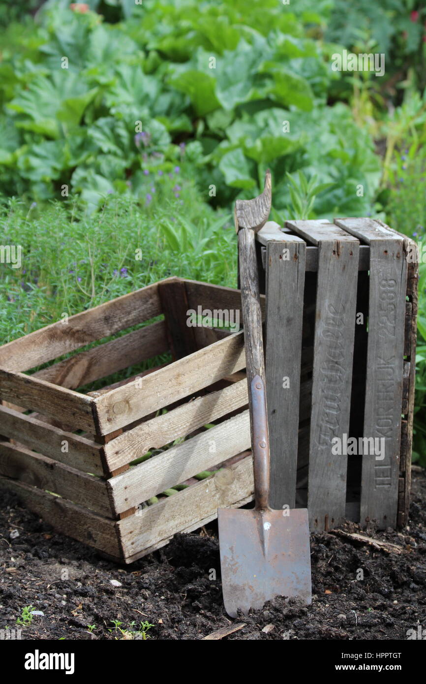 Casse Di Legno Vintage Per Frutta - Set Di 6, Misure 50x40x30 Cm, Solide, Per Decorazione E Fai-Da-Te