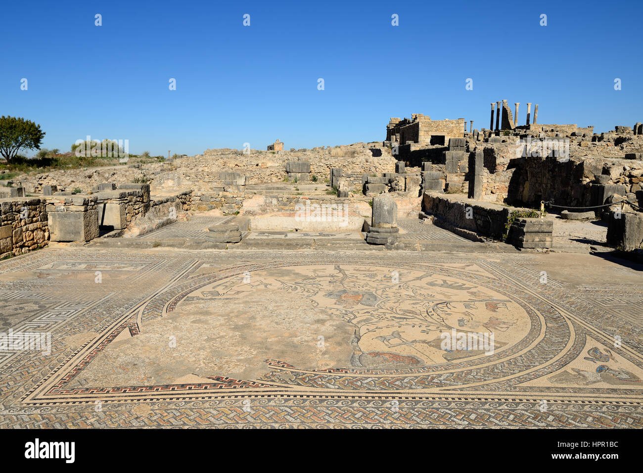 Ampio complesso di rovine della città romana Volubilis - di antica città capitale della Mauritania nella parte centrale del Marocco dalla città di Meknes. Il Foto Stock