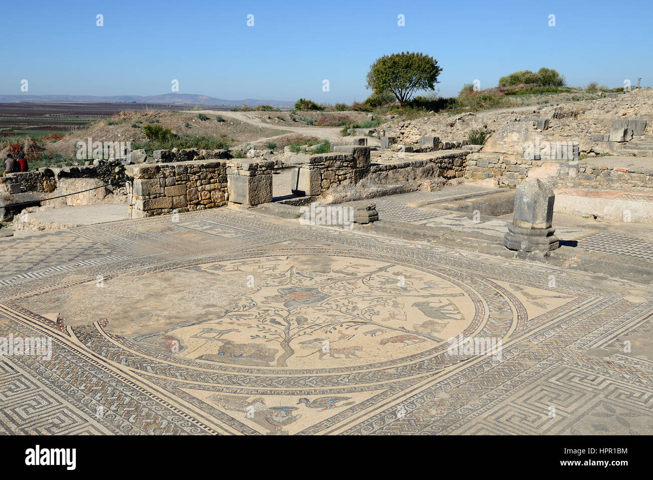 Ampio complesso di rovine della città romana Volubilis - di antica città capitale della Mauritania nella parte centrale del Marocco dalla città di Meknes. Il Foto Stock