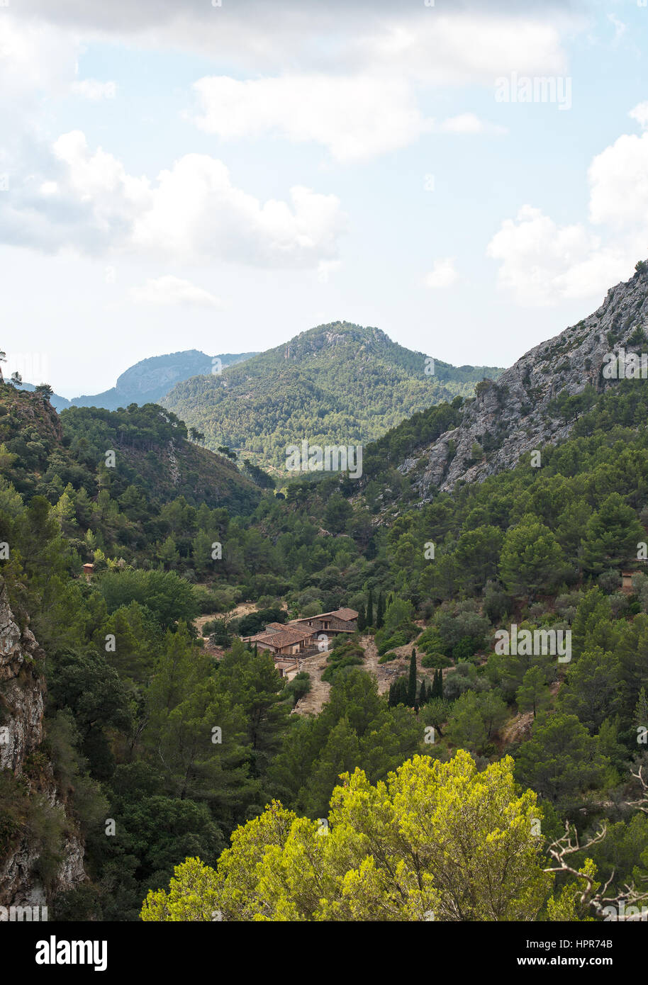 Bellissima gola nella montagna. Foto Stock