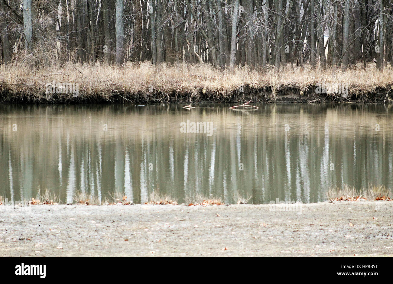 Alberi lungo il fiume Iowa riflessione Foto Stock