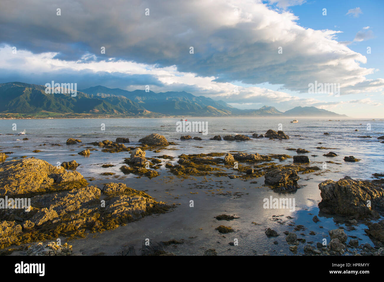 Kaikoura, Canterbury, Nuova Zelanda. Vista dalla costa rocciosa attraverso bay per le cime frastagliate di Kaikoura Seaward gamma, la mattina presto. Foto Stock