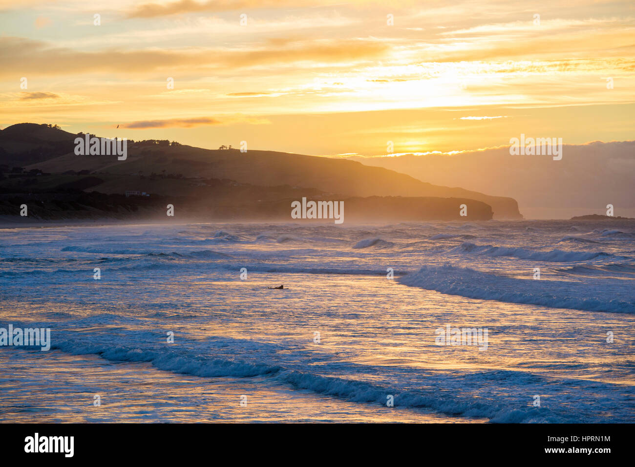 Dunedin, Otago, Nuova Zelanda. Surfer paddling fuori a cavalcare le onde dell'Oceano Pacifico su St Clair Beach Sunrise, golden luce riflessa nell'acqua. Foto Stock