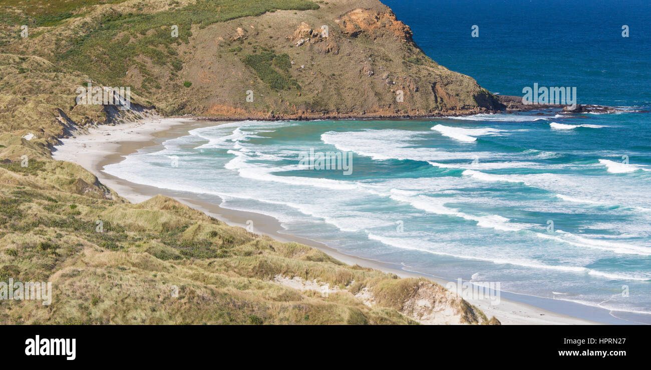 Dunedin, Otago, Nuova Zelanda. Vista panoramica sull'Oceano Pacifico a Sandfly Bay, Penisola di Otago. Foto Stock