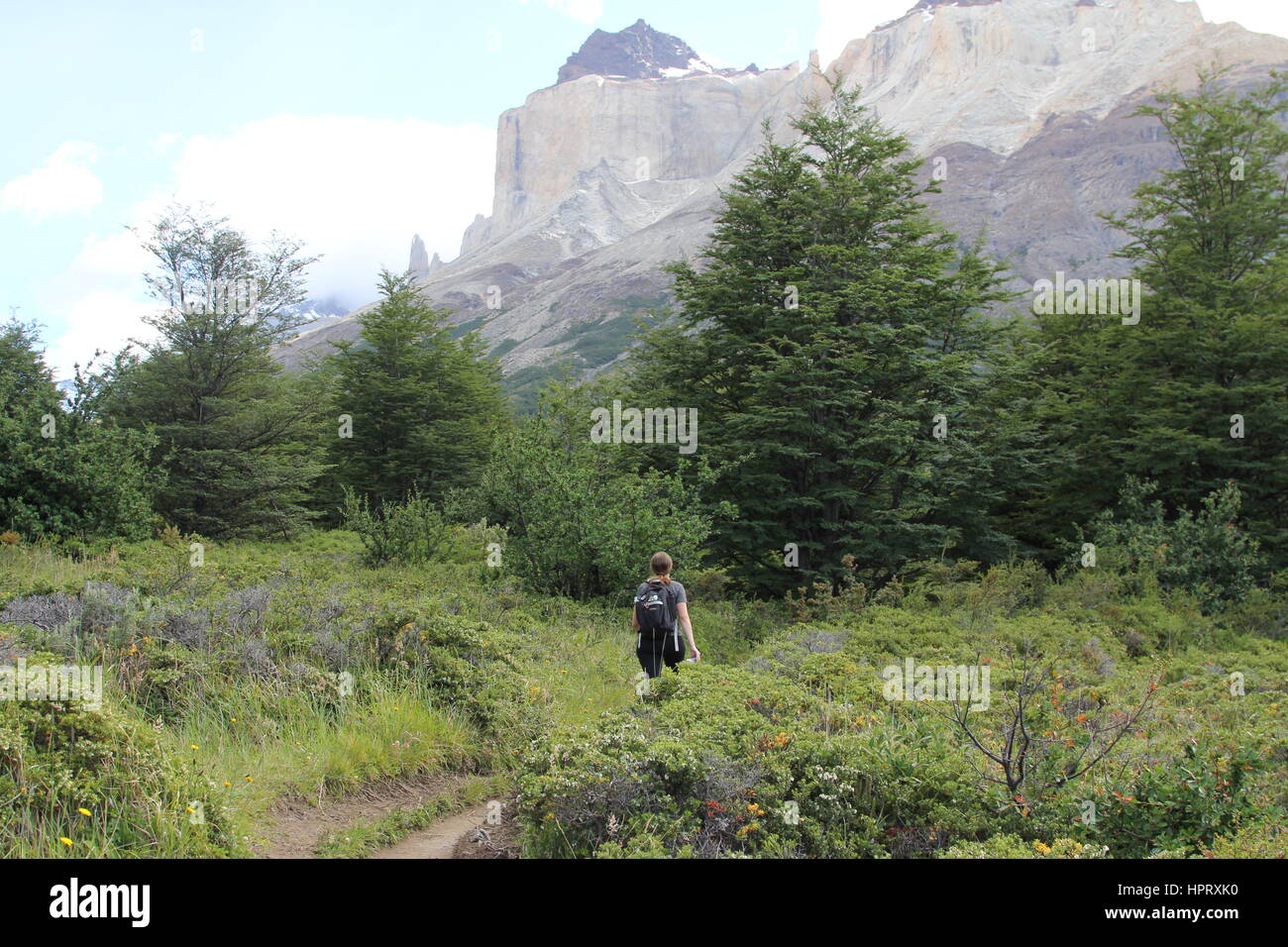 Trekking Torres Del Paine Foto Stock