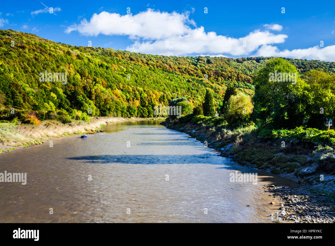 Il fiume Wye nearTintern in Monmouthshire, Galles. Foto Stock