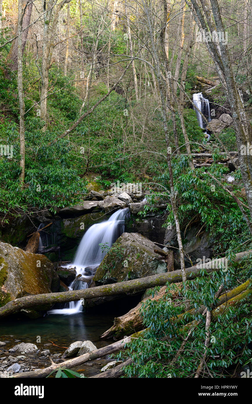 Rainbow Falls, cade, Cascata, LeConte Creek, Great Smoky Mountains National Park, foresta, foreste, legno, bosco, GSMNP, parchi di Gatlinburg, Tennes Foto Stock