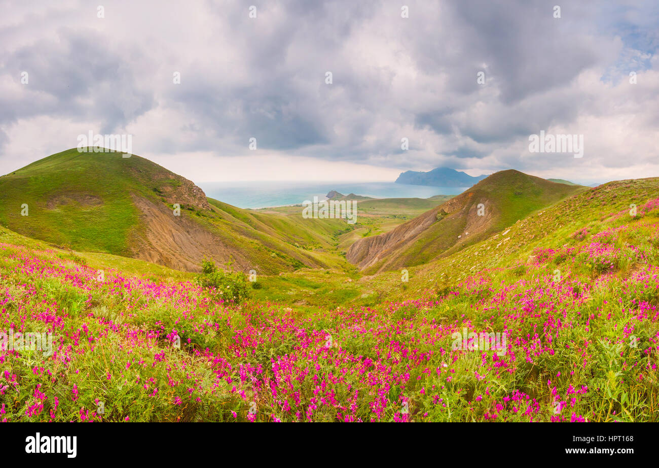 Giornata di sole sul mare con fiori in fiore Foto Stock