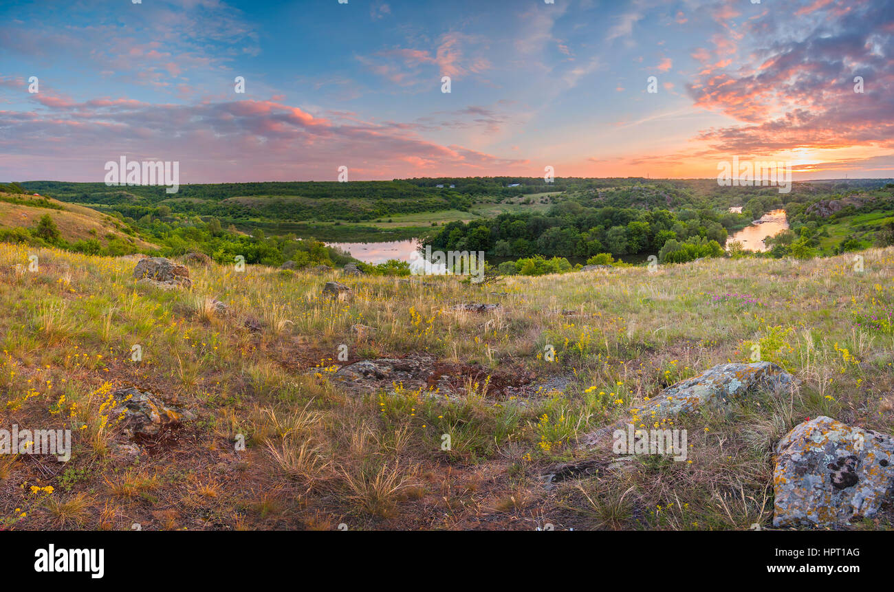 Estate alba con colorate blu cielo e il verde dei campi Foto Stock