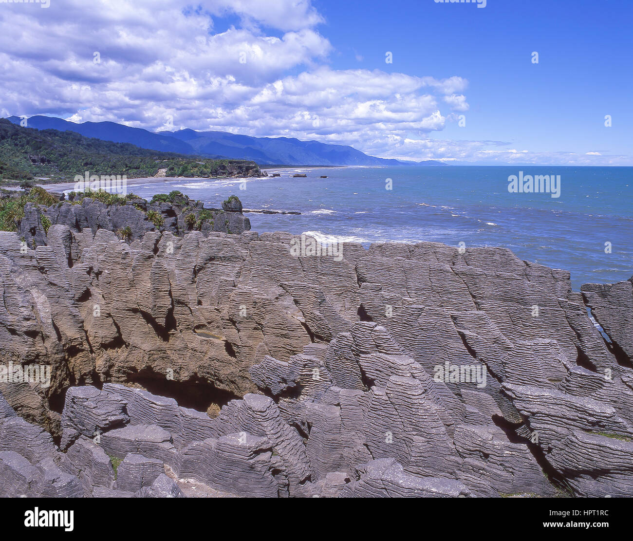 Pancake Rocks, Punakaiki, Paparoa National Park, West Coast, Regione di South Island, in Nuova Zelanda Foto Stock