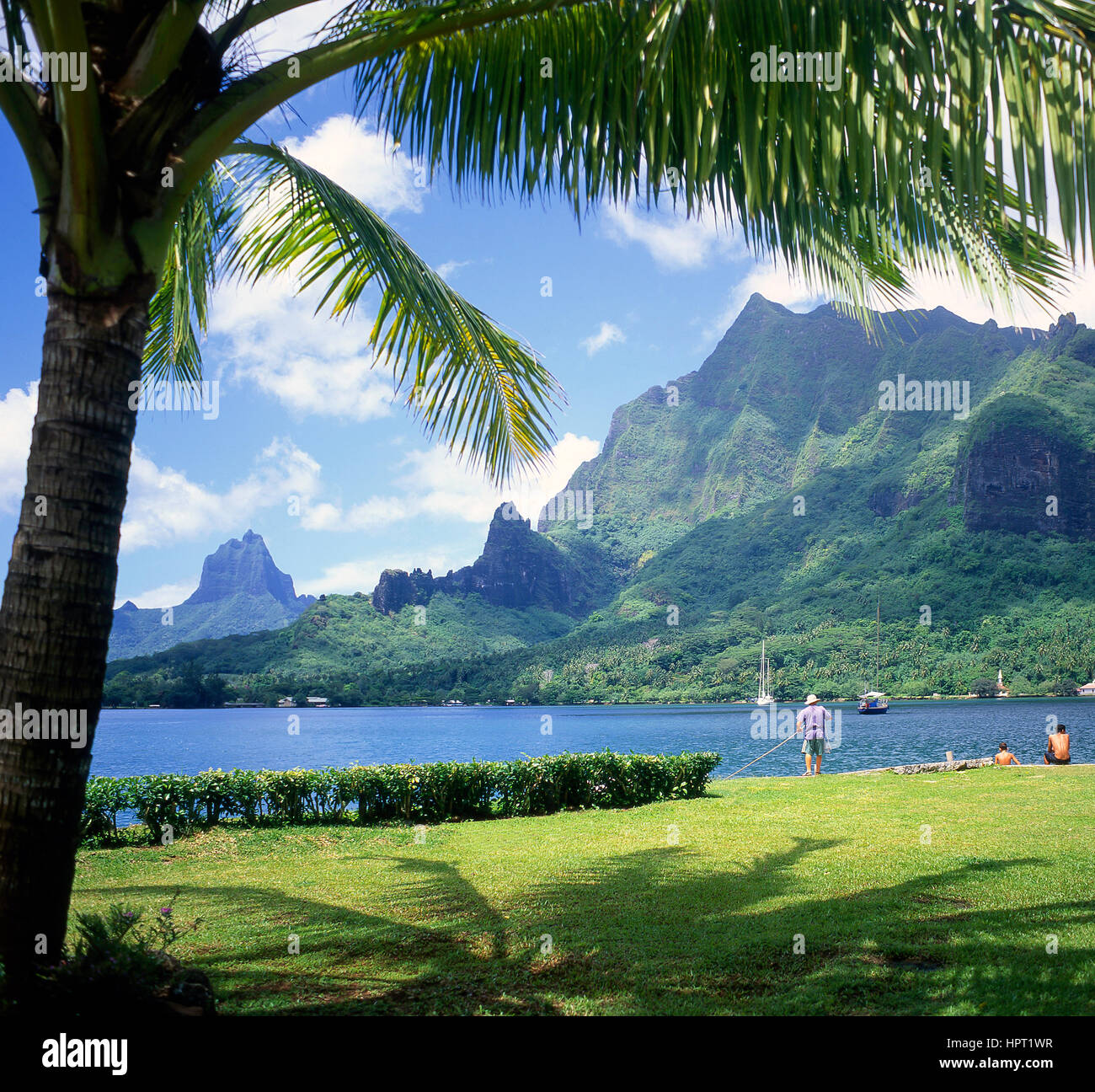 La Captain Cook's Bay, Moorea, Tahiti, Polinesia Francese Foto Stock