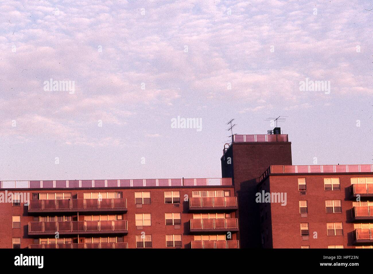 Vista della sommità di un progetto di edilizia abitativa nel Bronx, New York, New York, 1976. Foto Stock