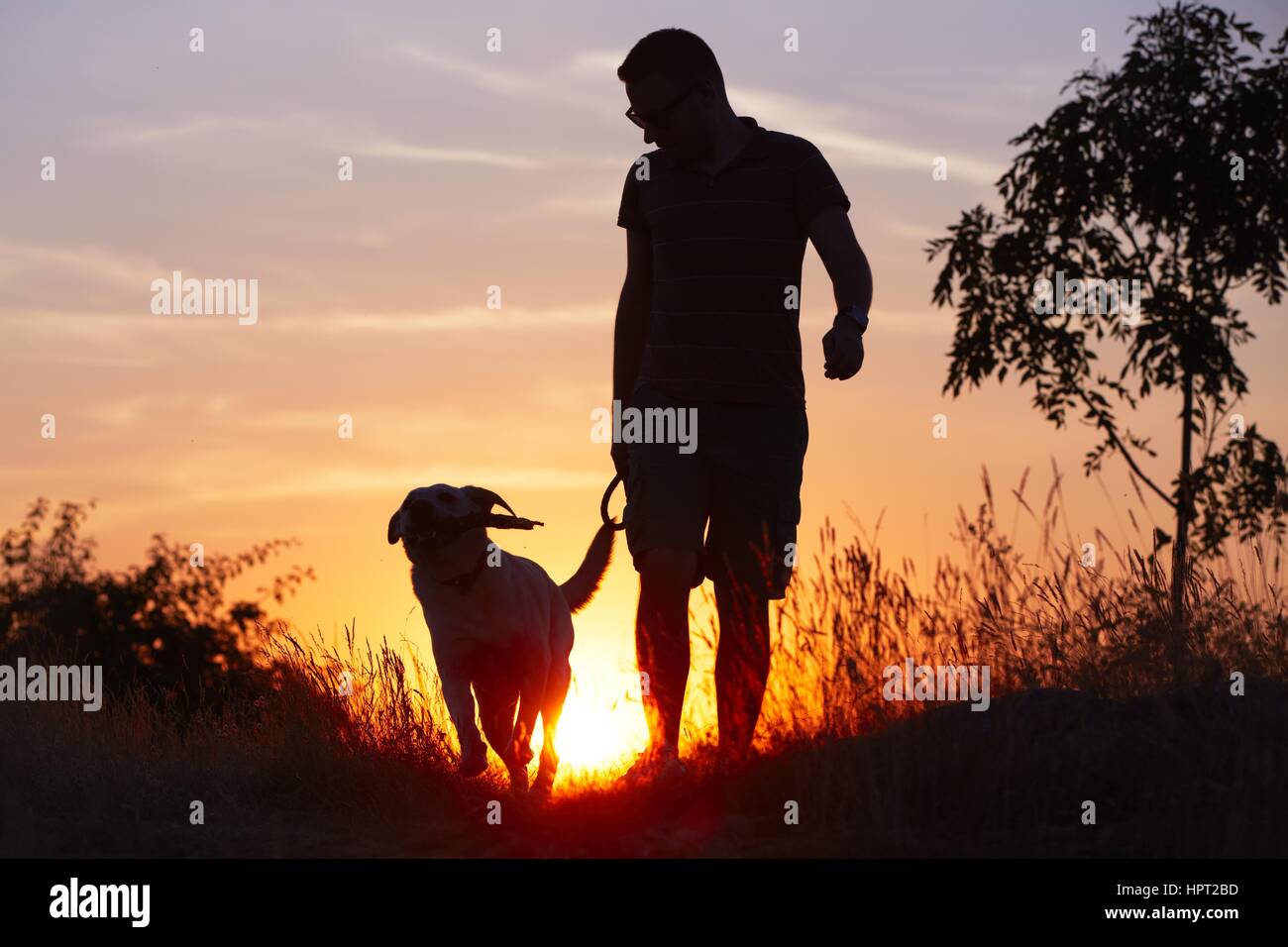 Giovane uomo con il suo giallo labrador retriever in natura - back lit Foto Stock