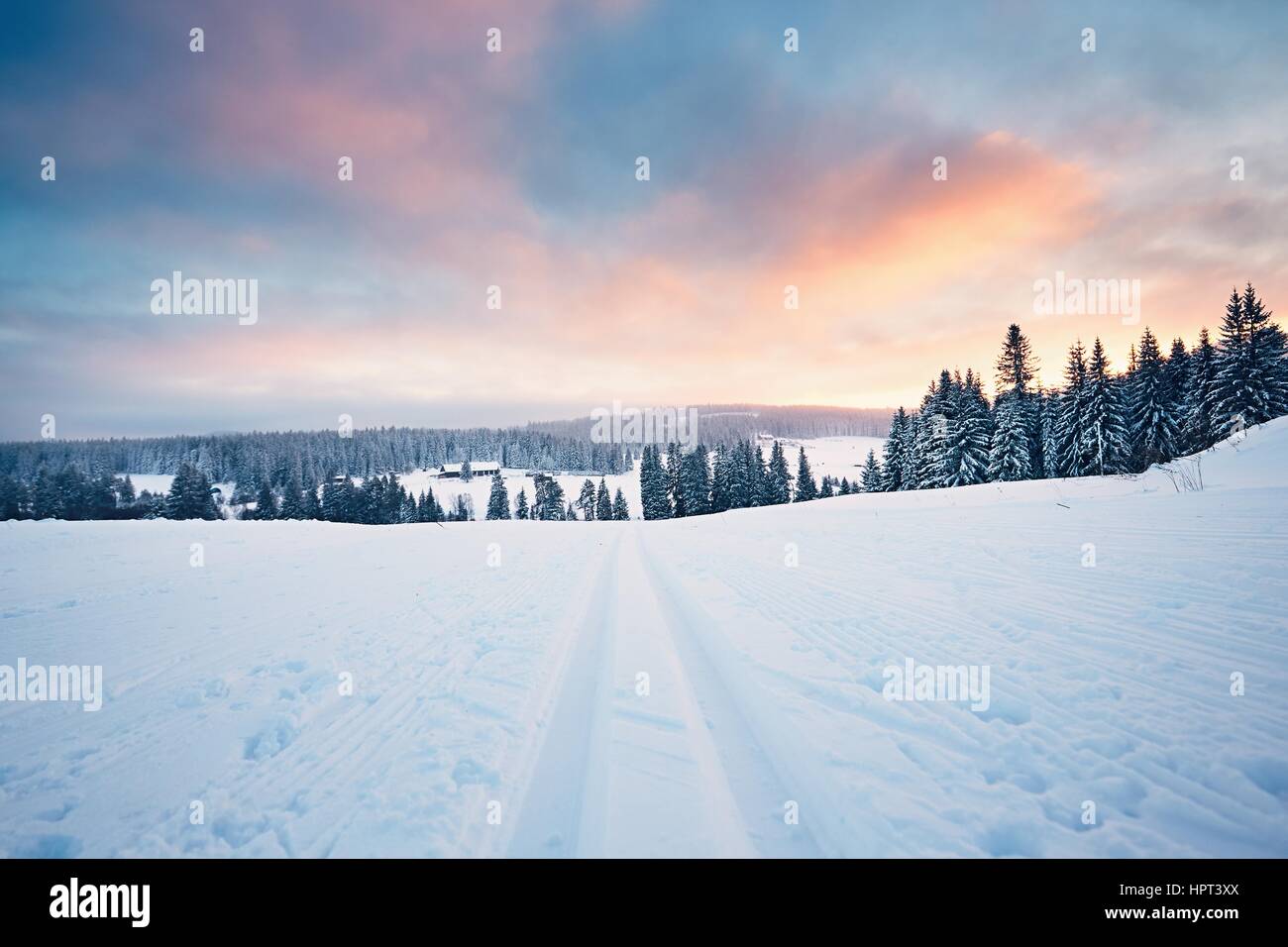 Paesaggio invernale al tramonto. Sci di fondo nelle Montagne di Sumava, Repubblica Ceca Foto Stock