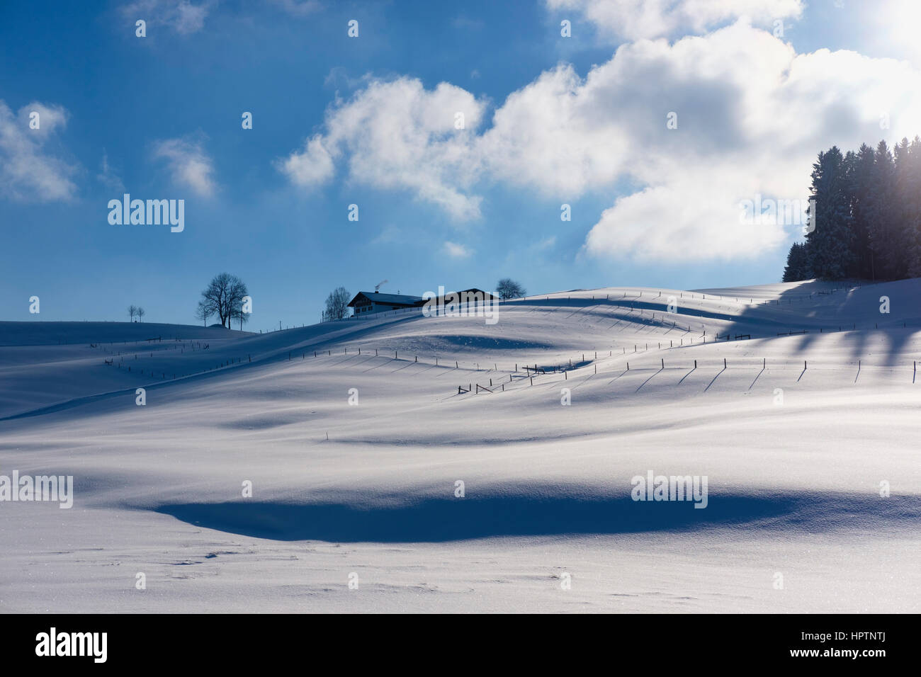 Germania, Buchenberg, paesaggio invernale Foto Stock