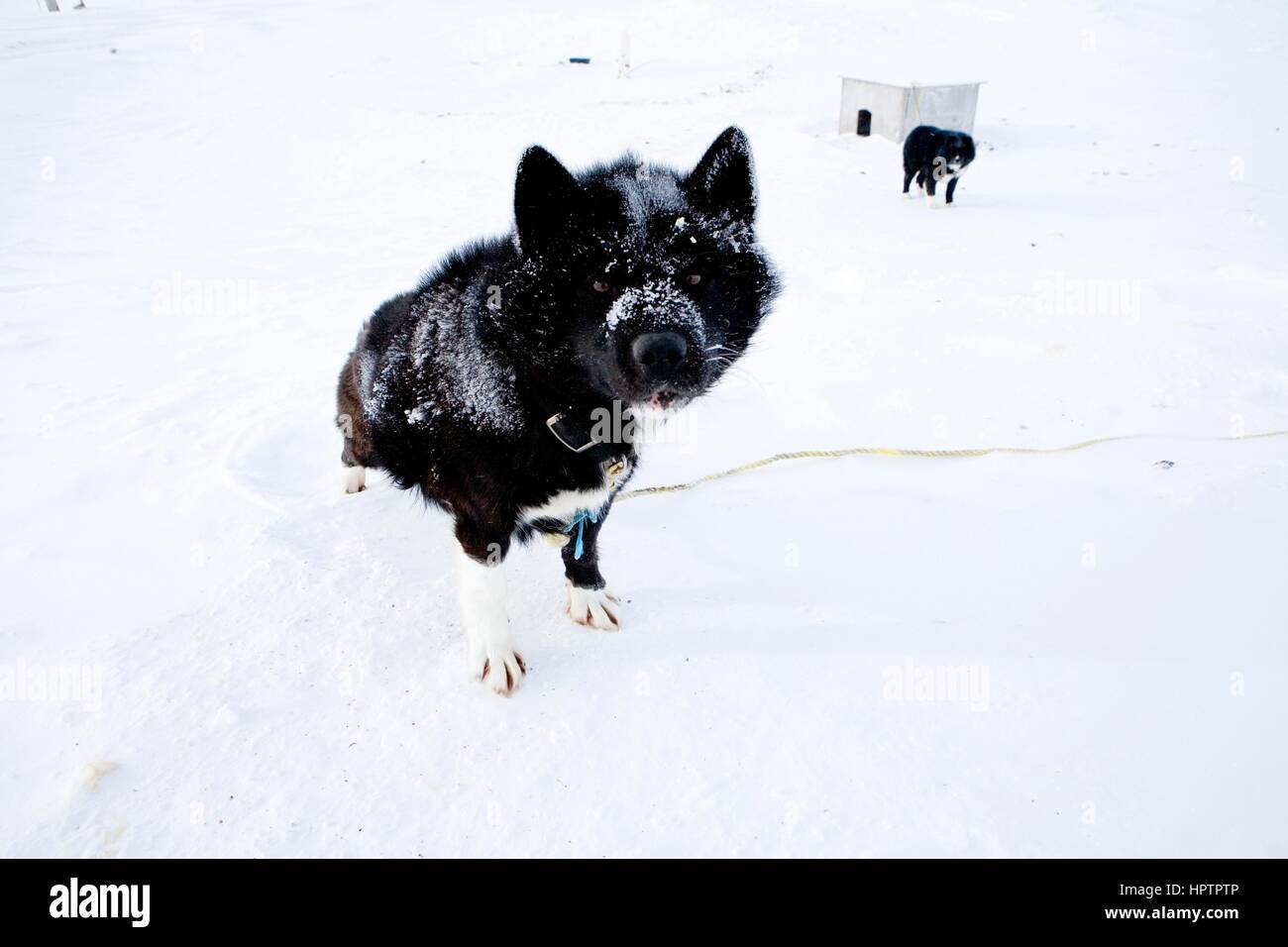 Gojahaven è un insediamento inuit nel nord del Canada. Foto Stock