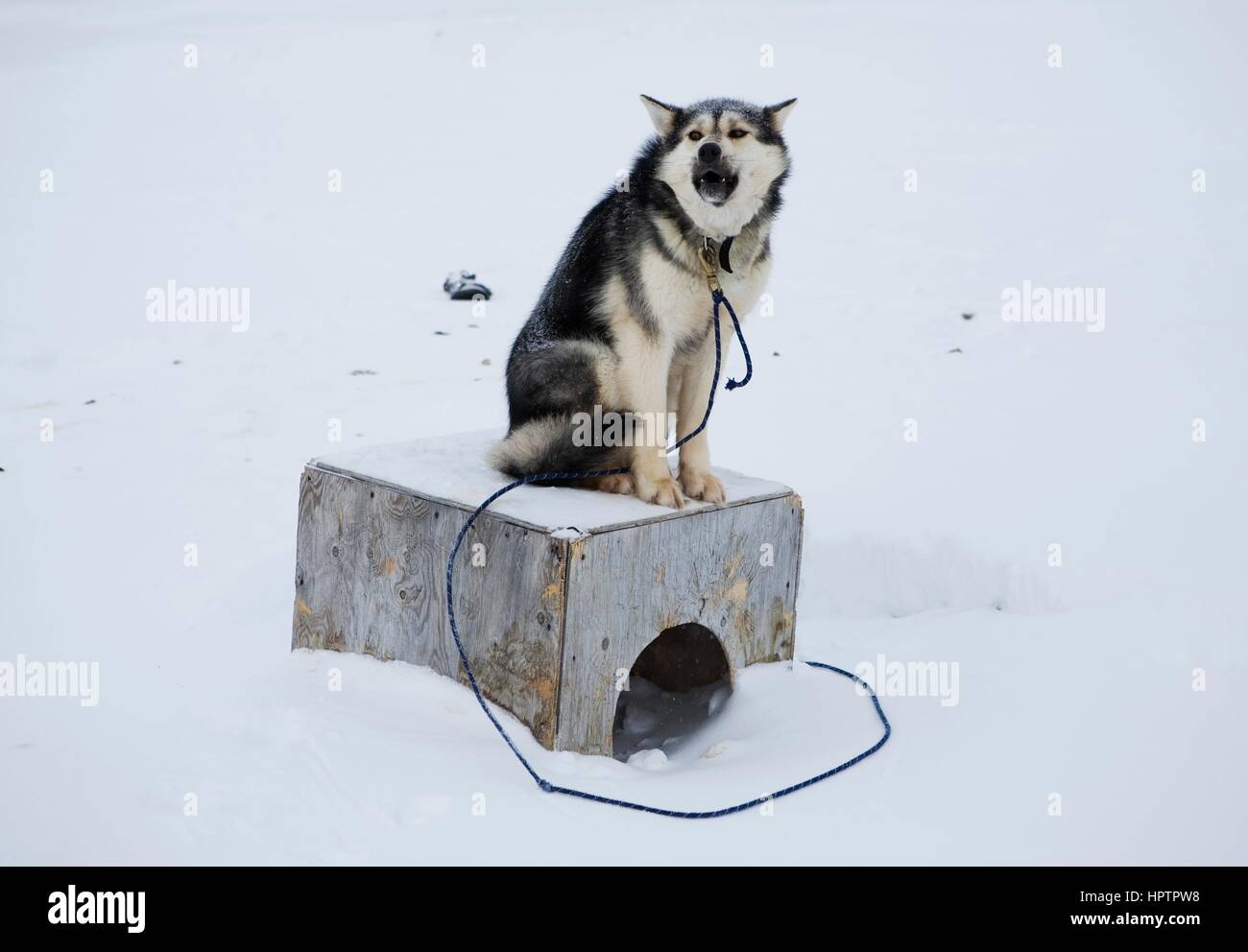 Gojahaven è un insediamento inuit nel nord del Canada. Foto Stock