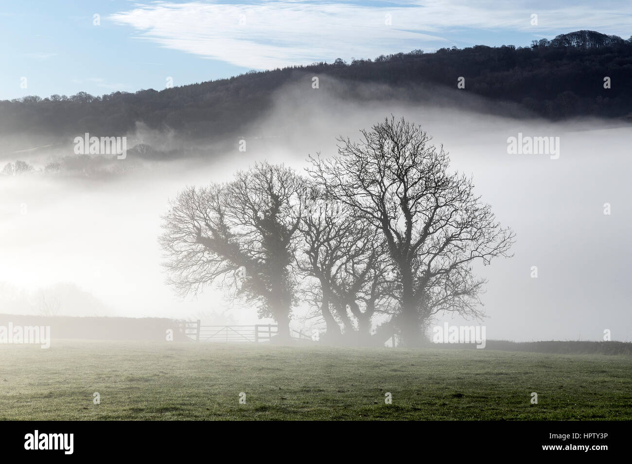La nebbia rotoli su un combe o coombe una valle contenente il villaggio di Dunsford nel Teign Valley, pannocchie e paglia imbiancato ,,Parco Nazionale di Dartmoor Foto Stock
