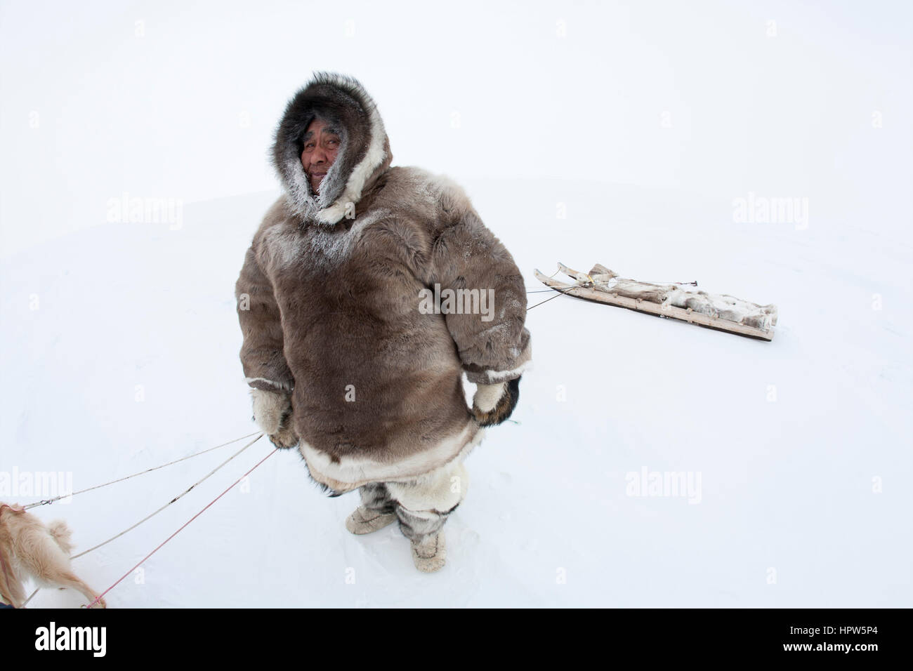 Snow sled sul polo nroth Foto Stock