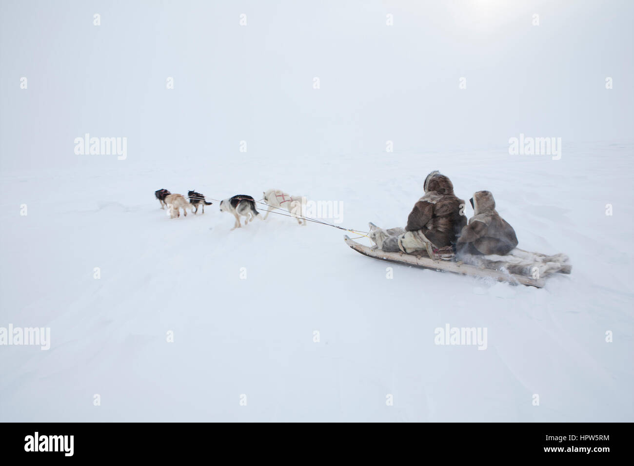 Snow sled sul polo nroth Foto Stock