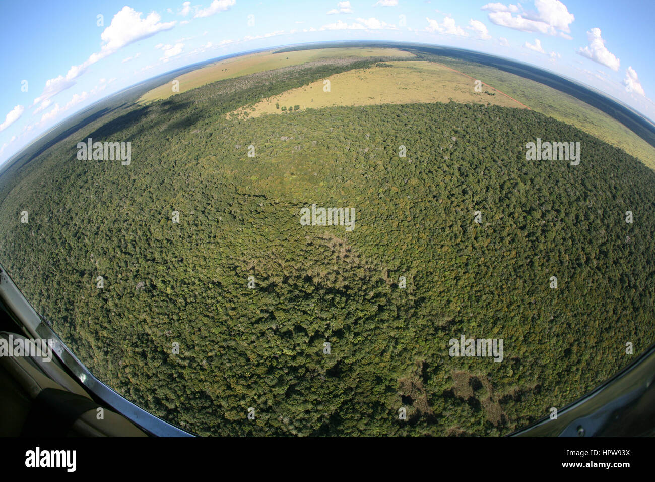 Un lrage parte della Amazone è stata distrutta e trasferite in terreno agricolo. Le principali colture coltivate sono la soia, l'erba per il bestiame e il granturco. La maggior parte delle colture vengono utilizzati per la produzione di biocarburanti o esportati verso l'Europa o noi al foraggio per animali Foto Stock