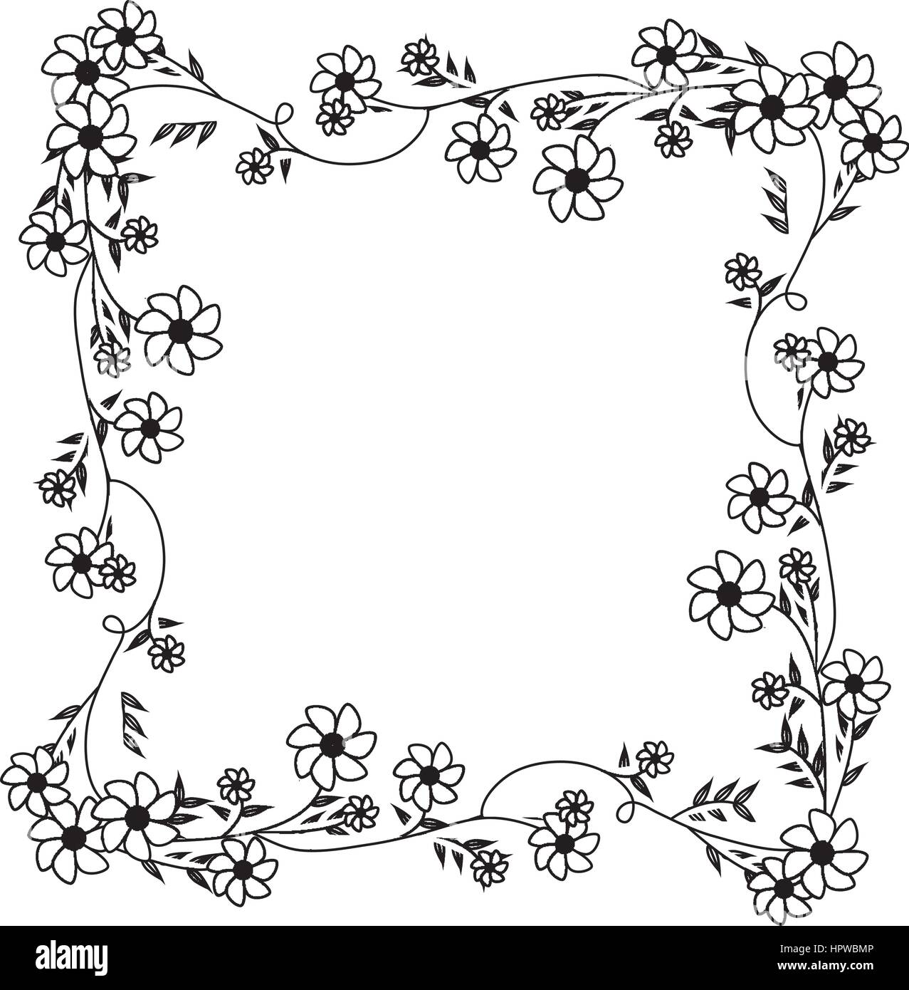 Contorno in bianco e nero con cornice quadrata ornamento con liane e fiori  viola Immagine e Vettoriale - Alamy