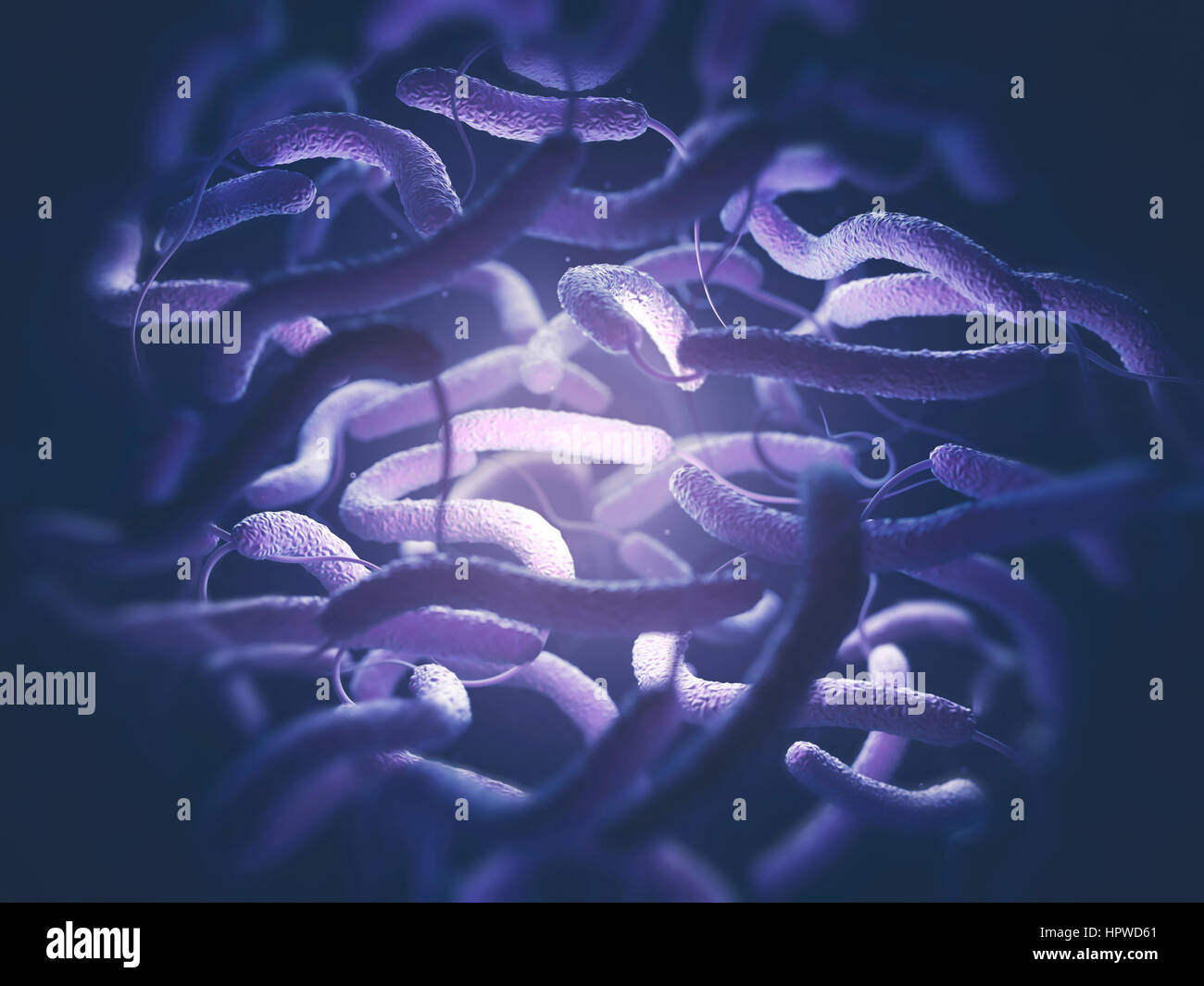 Vibrio cholerae e flagelli, illustrazione. Foto Stock