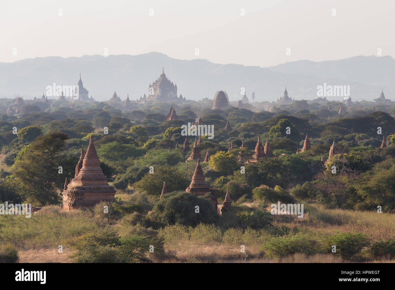 Bagan in Myanmar Foto Stock