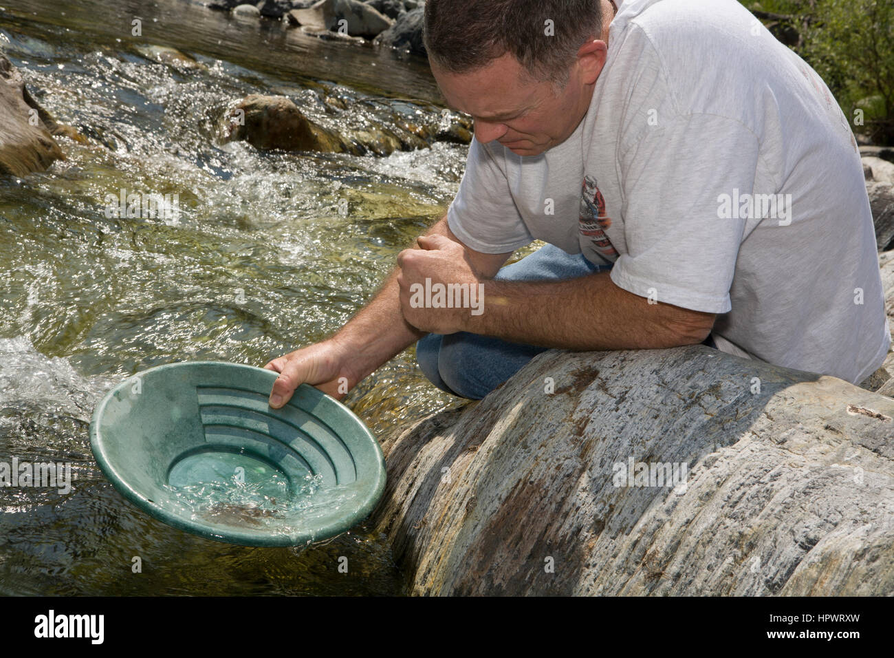 Darren Pritchett lava l'accendino sabbia e fango dal suo pan nella speranza di trovare il più pesante di oro in fondo, gold panning in North Fork di th Foto Stock