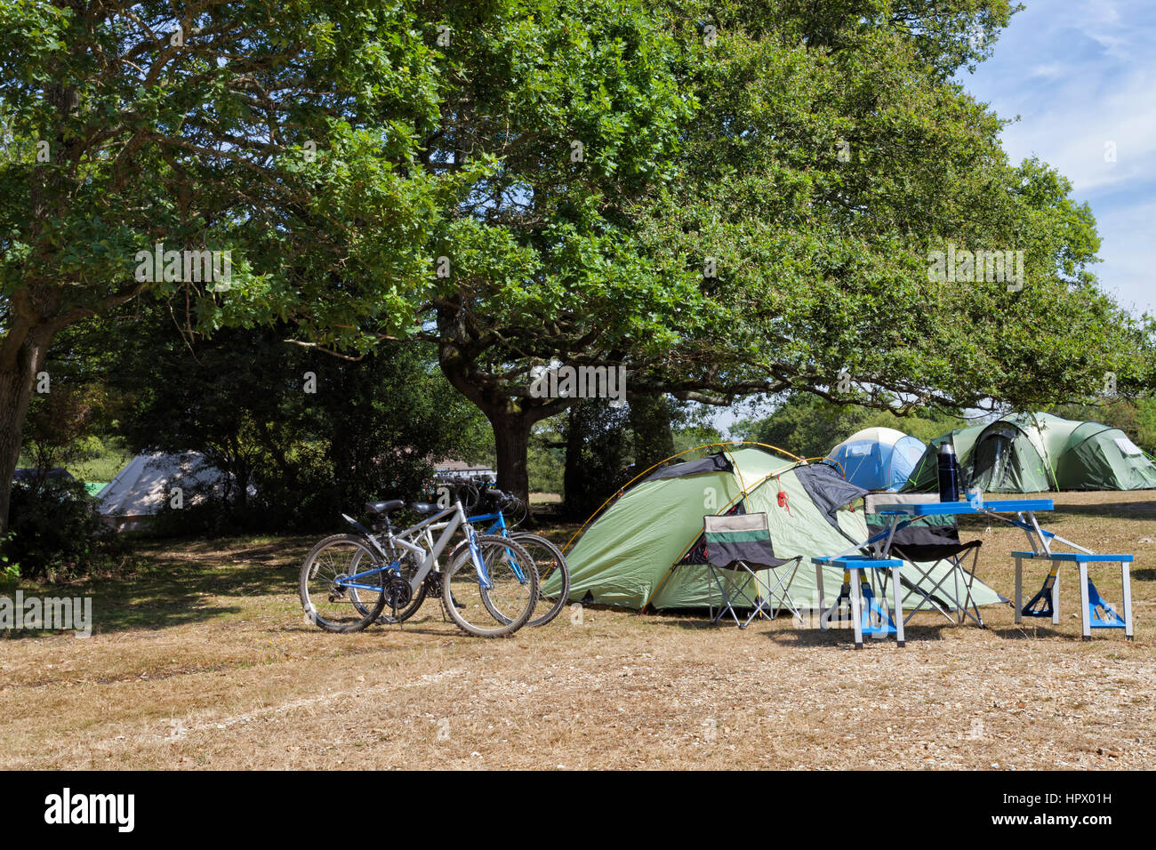 Dimensioni dei nuclei familiari e piccole tende sotto alberi di quercia in un bosco campeggio , con due moto ,tavolo e sedie all'esterno . Foto Stock