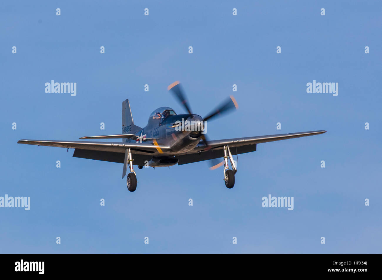 P Mustang fighter ad ali di FreedomTour storico di vintage WWII piani di guerra a Venezia Aeroporto di Venezia Florida Foto Stock