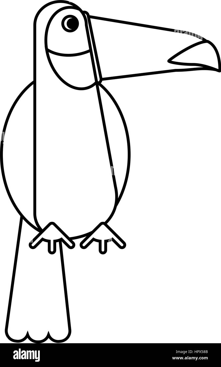Toucan bird fauna esotiche linea sottile Illustrazione Vettoriale