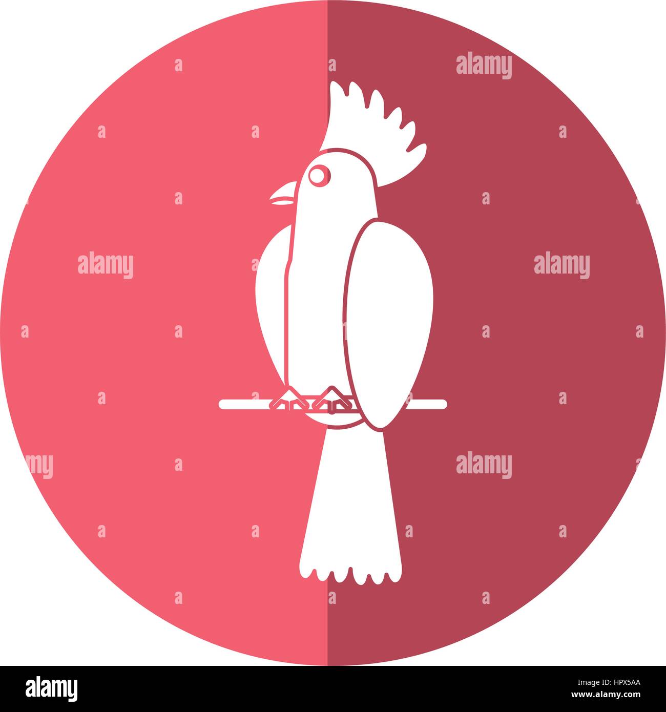 Cockatoo uccello tropicale ombra icona Illustrazione Vettoriale