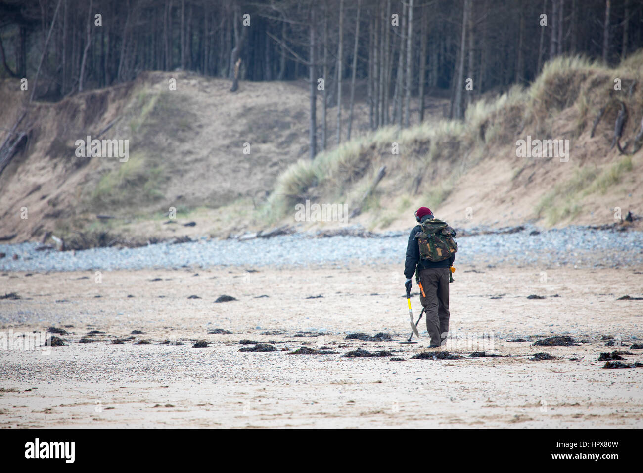 Uomo di rilevamento di metallo su una spiaggia di sabbia a Newborough, Anglesey Foto Stock