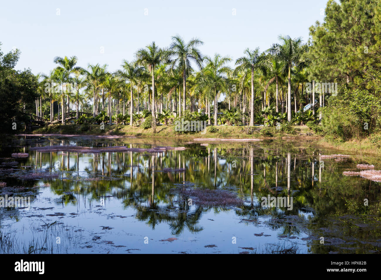 Abbandonato il parco acquatico in tinta, Vietnam Foto Stock