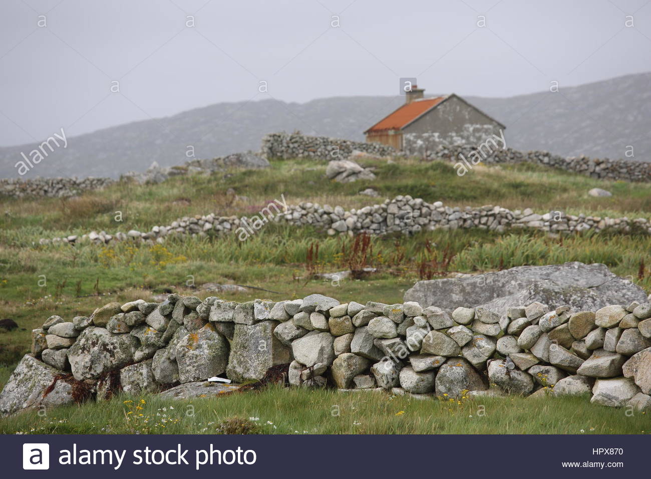 Un paesaggio di muri di pietra e di dipendenza in Connemara in Irlanda dell'Ovest. Foto Stock