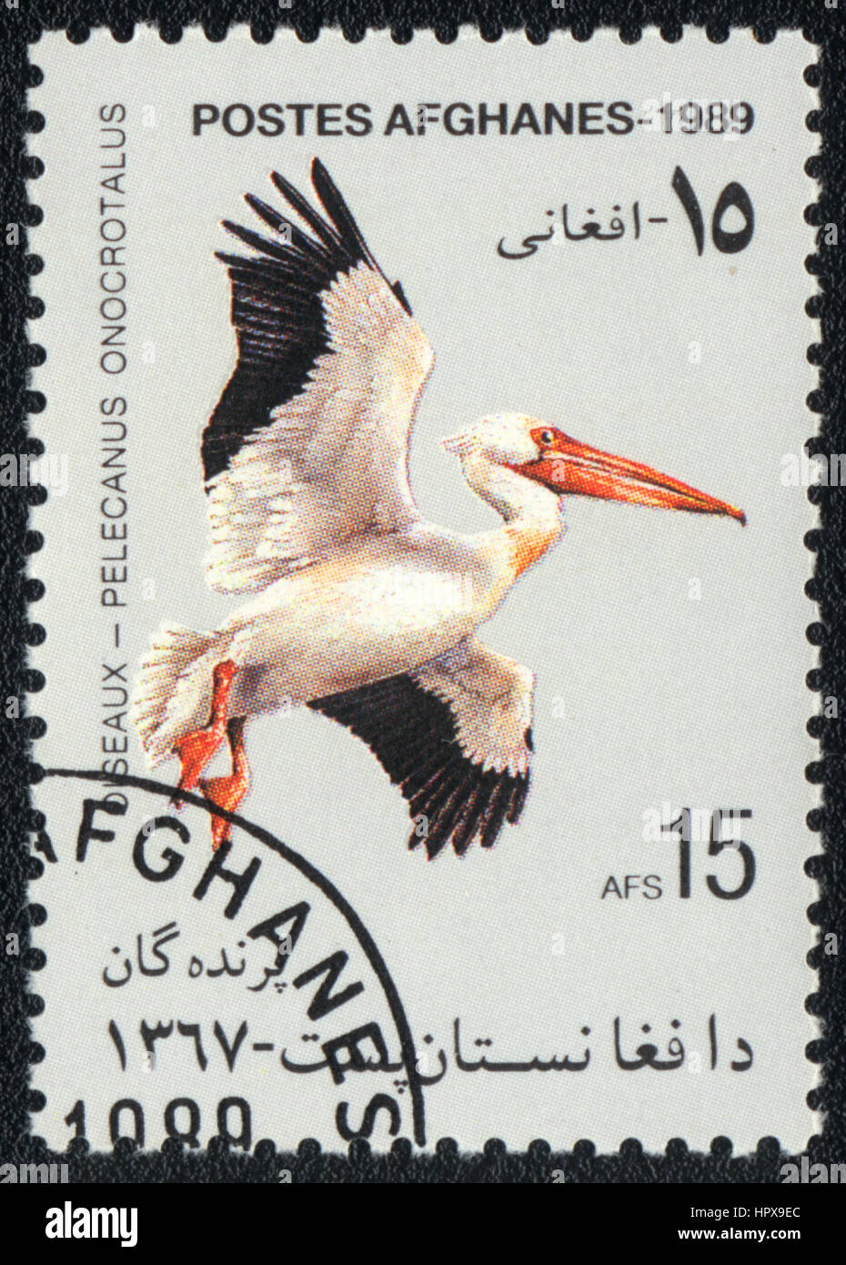 Un francobollo stampato in Afghanistan mostra un uccello grande bianco Pellicano (Pelecanus onocrotalus), dalla serie di uccelli, circa 1989 Foto Stock