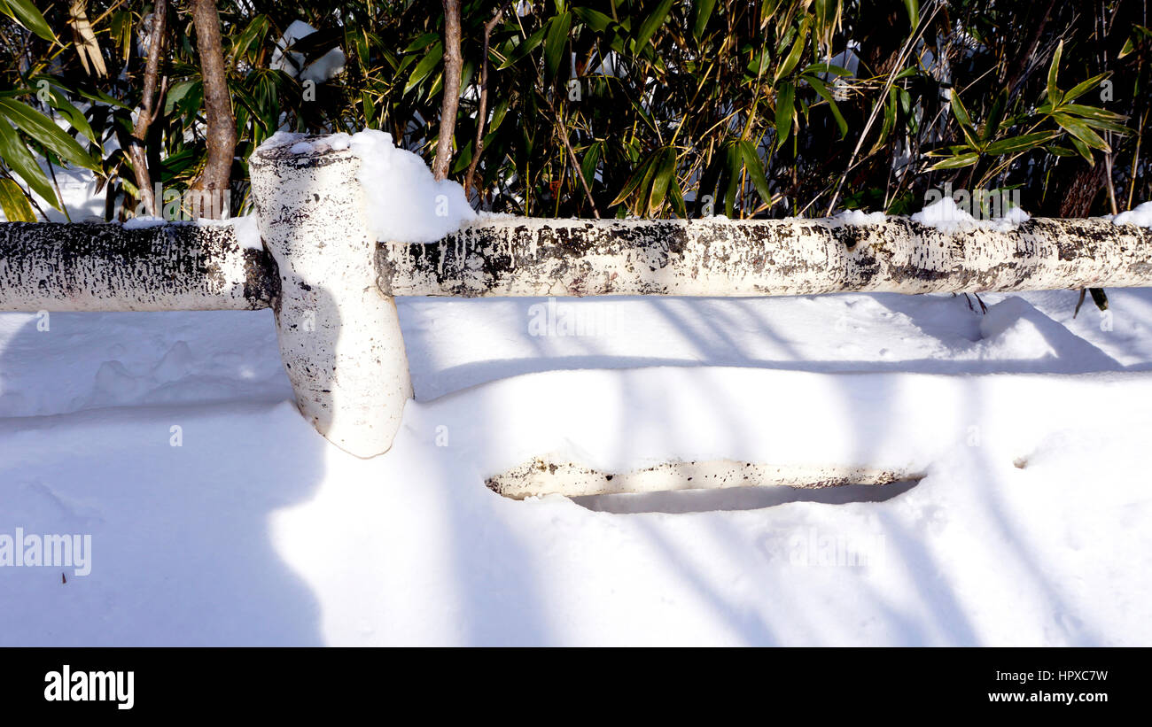 Primo piano neve e ringhiera in passerella forest Noboribetsu Onsen neve invernale del parco nazionale di Jigokudani, Hokkaido, Giappone Foto Stock