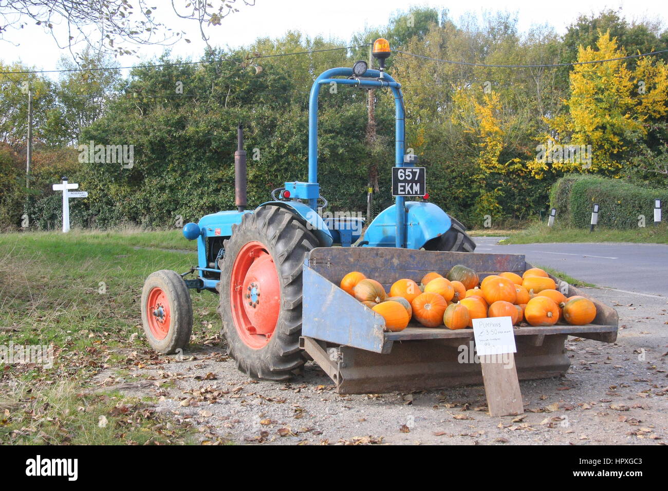 Una luminosa e soleggiata e vista di un blu vintage trattore a una fattoria con zucche arancione in vendita PRONTO PER HALOWEEN Foto Stock