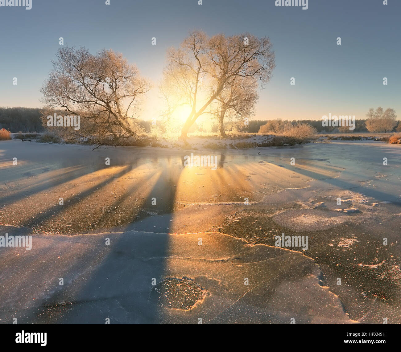Bright sole d'inverno. Il sole splende su modelli di ghiaccio. Sunny la mattina di Natale. Colorato sfondo di Natale. Foto Stock