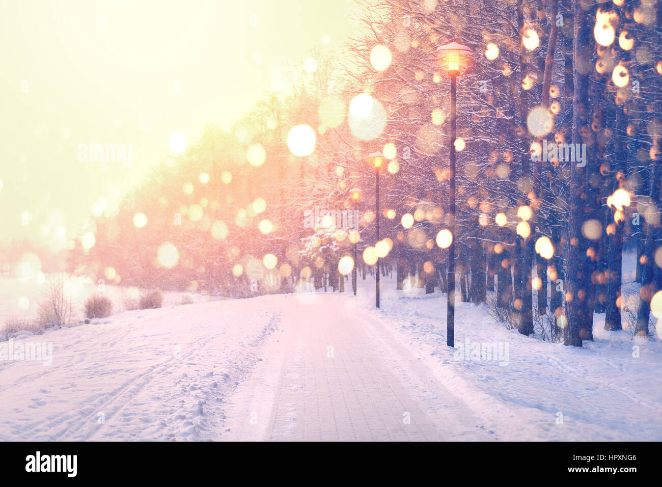 Fiocchi di neve di colore sulla winter park sfondo. Nevicata nel parco. Brillante tramonto d'inverno. Bellissimo tema natalizio. Foto Stock